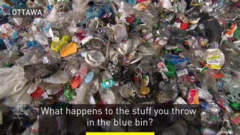 ottawa blue bin|In your blue box, not all plastics are created equal .